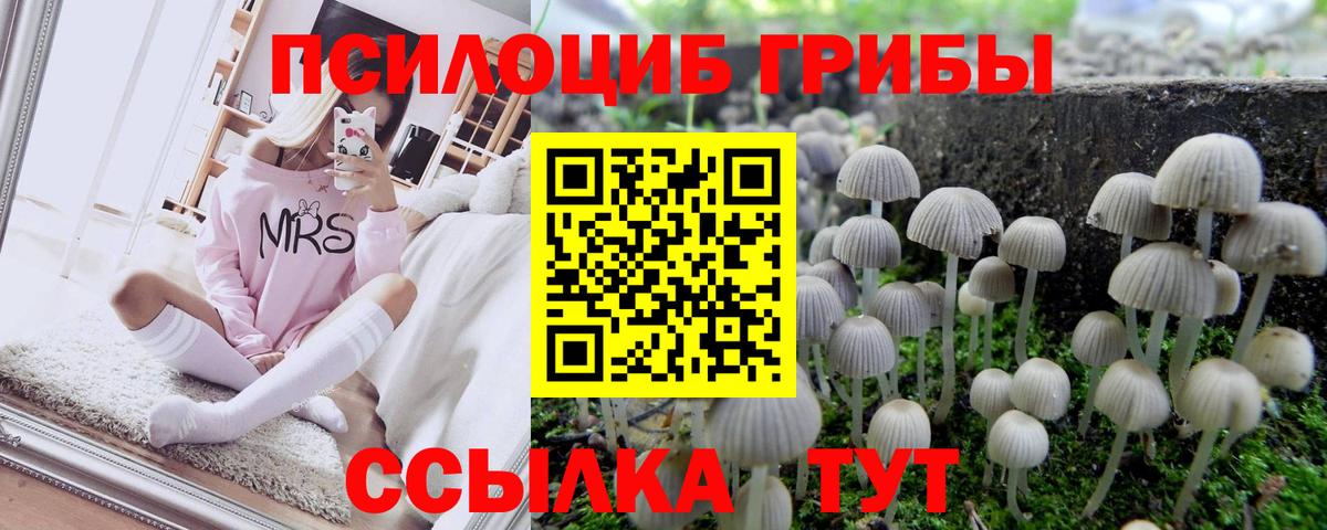 Урюпинск  Галлюциногенные грибы мицелий  Вход с VPN 